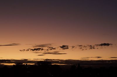 Silhouette trees against sky during sunset