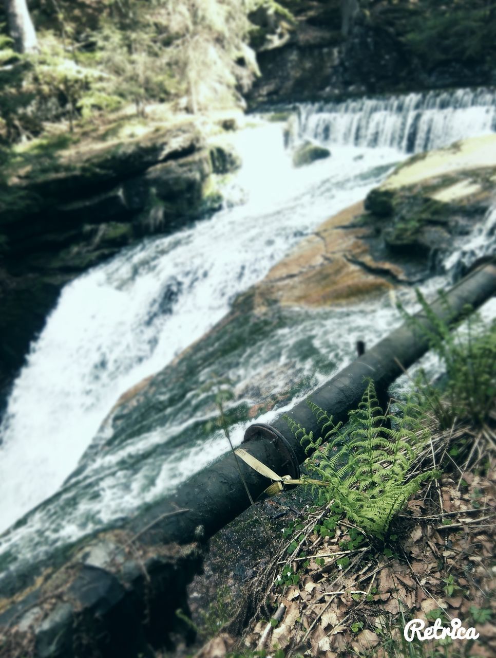 water, stream, flowing, river, waterfall, flowing water, close-up, nature, scenics, beauty in nature, log, tranquility, day, tranquil scene, surface level, non-urban scene, outdoors, natural landmark, green color, focus on foreground