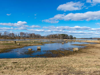 Sunny spring landscape, flooded meadow with hay rollers