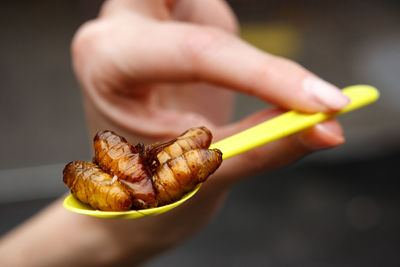 Cropped hand holding spoon with fried maggots