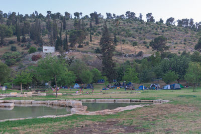 Group of people on grassland against trees