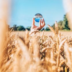 Close-up of woman in wheat field against sky