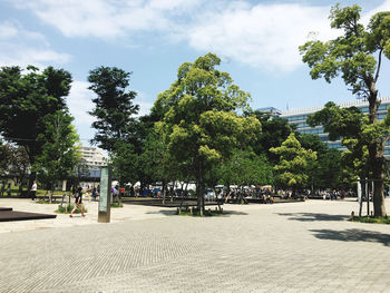 Trees and plants in city against sky