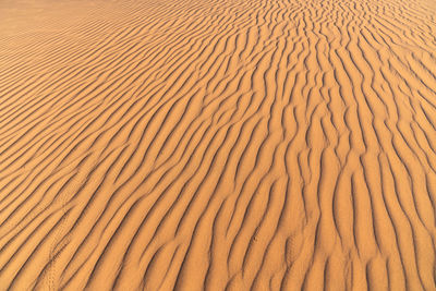 Full frame shot of sand dune