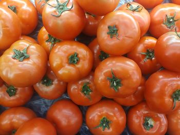 Full frame shot of tomatoes for sale at market stall