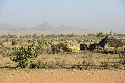 Scenic view of field against sky