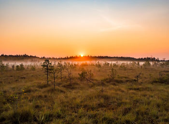Sunrise over marshland in autumn coloured national park in finland