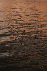 Full frame shot of rippled water