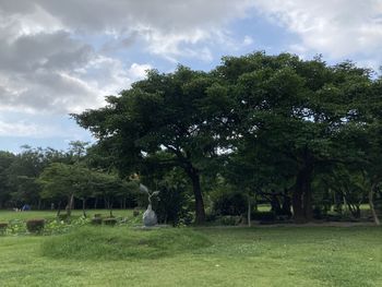 Trees on field against sky