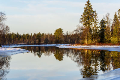 Reflection of trees in lake against sky