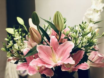 Close-up of pink flowering plant