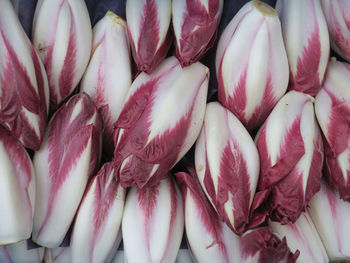 Full frame shot of pink for sale in market