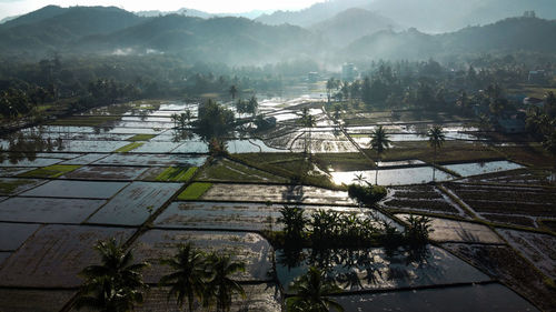 High angle view of agricultural field