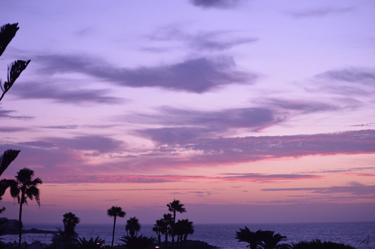 sunset, beauty in nature, scenics, sky, tranquil scene, tranquility, silhouette, nature, sea, cloud - sky, tree, palm tree, idyllic, horizon over water, no people, beach, outdoors, water, day