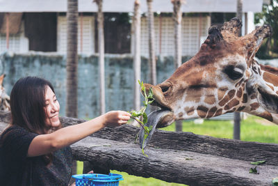 Young woman holding stick in zoo