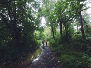 Rear view of women walking on dirt road along trees