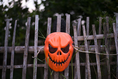 Close-up of pumpkin against fence during halloween