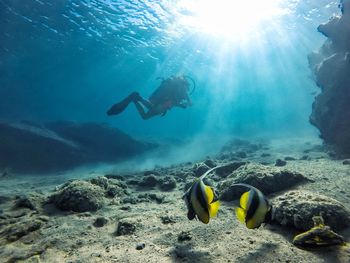 Woman scuba diving undersea