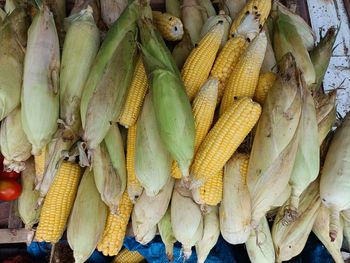 High angle view of sweet corns for sale in market