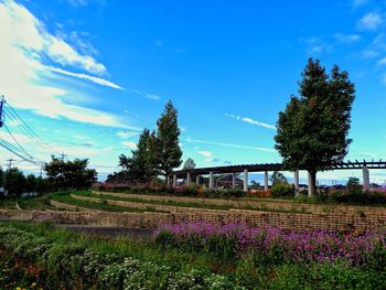 Scenic view of field against cloudy sky