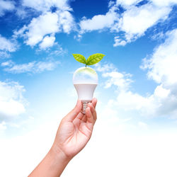 Close-up of hand holding white light bulb with plant against sky