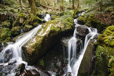 View of waterfall in forest