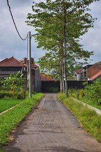 Footpath amidst trees and houses against sky