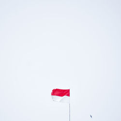 Low angle view of flag against white background