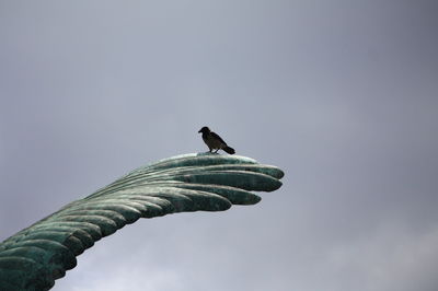 Low angle view of bird perching on plant against sky