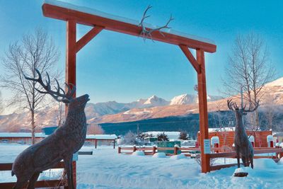 Stag sculptures at wooden gate on snow covered field against clear blue sky