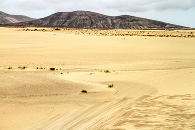 Scenic view of desert against sky