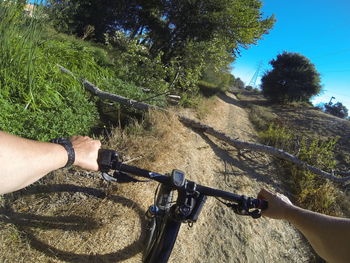 Midsection of man riding bicycle on tree