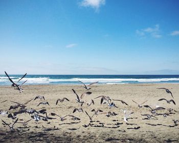 Scenic view of sea against sky