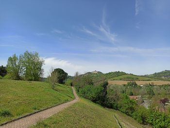 Scenic view of field against sky