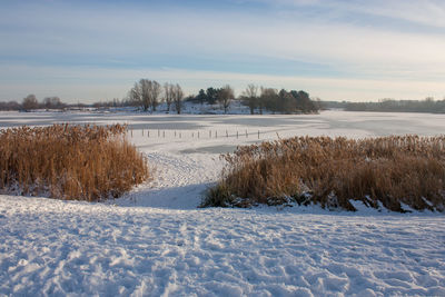 Scenic view of snow field against sky during winter