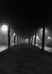 Street lights on footpath at night