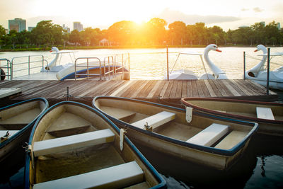 View of swan in lake at sunset