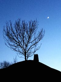 Low angle view of bare tree against blue sky