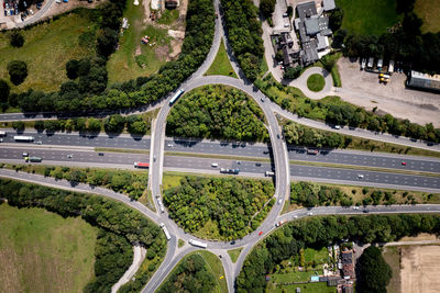 High angle view of trees in city