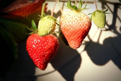 Close-up of strawberry hanging on leaf