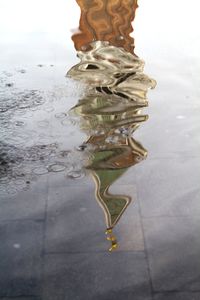 Low section of reflection in puddle