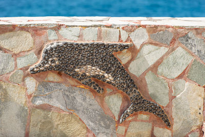 Stone wall with dolphin texture with wooden doors as a background for composing