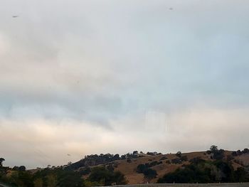 Scenic view of trees on field against sky