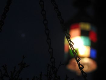 Close-up of tree against sky at night