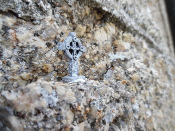 Close-up of human hand on rock