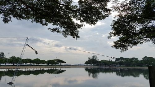 Reflection of trees in lake