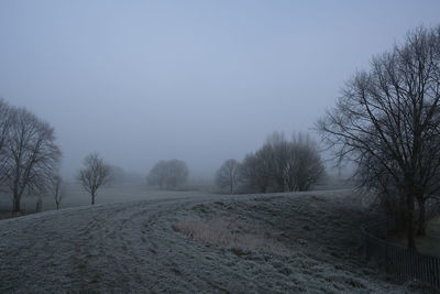 Bare trees on field against clear sky during winter