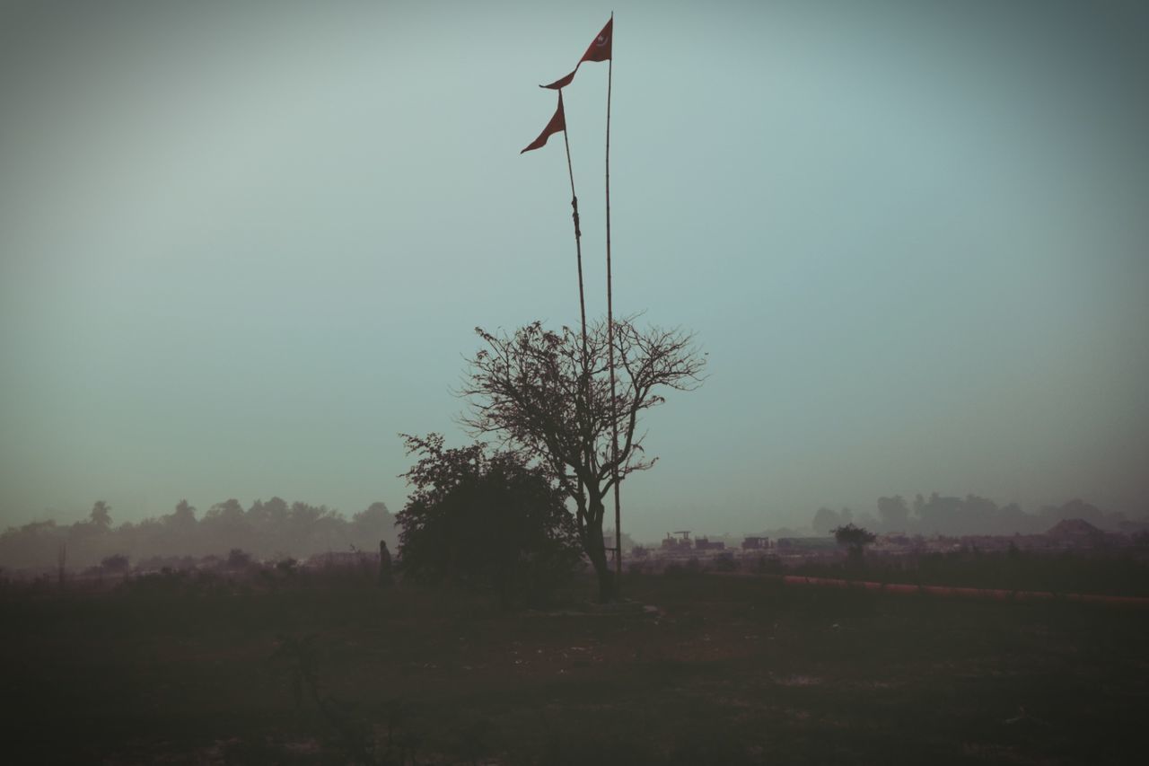 flag, tree, patriotism, no people, nature, sky, clear sky, outdoors, day, beauty in nature