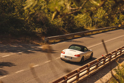 Cars moving on road by trees in city