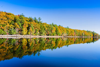 reflection